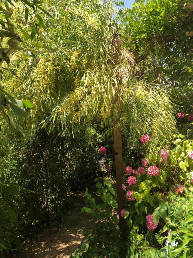 L'Ile-d'Olonne L Atypique B&B 외부 사진