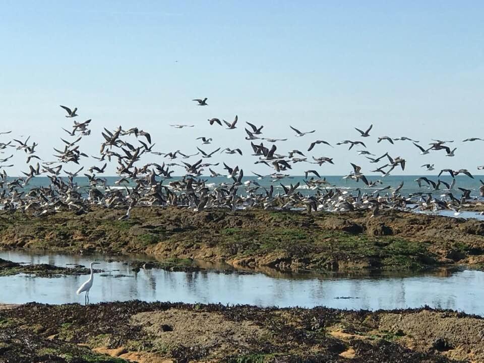 L'Ile-d'Olonne L Atypique B&B 외부 사진